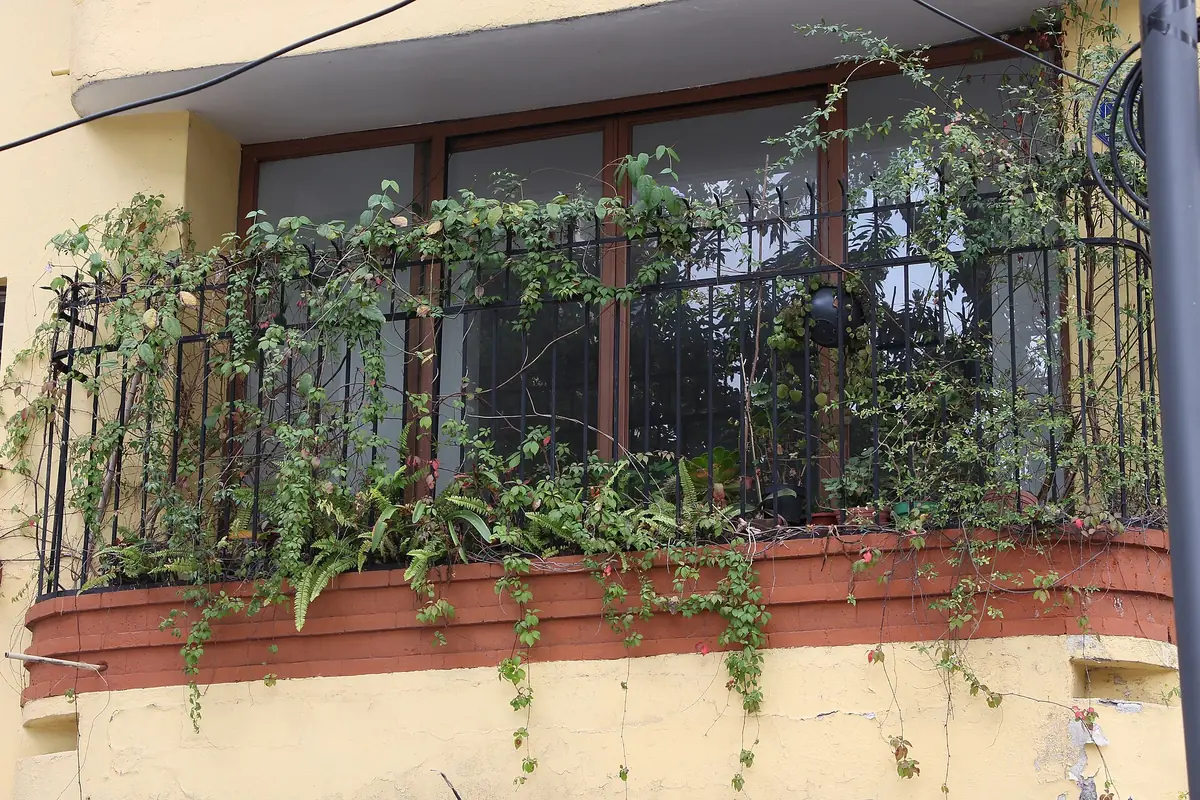 Balcón de herrería con plantas en un edificio antiguo