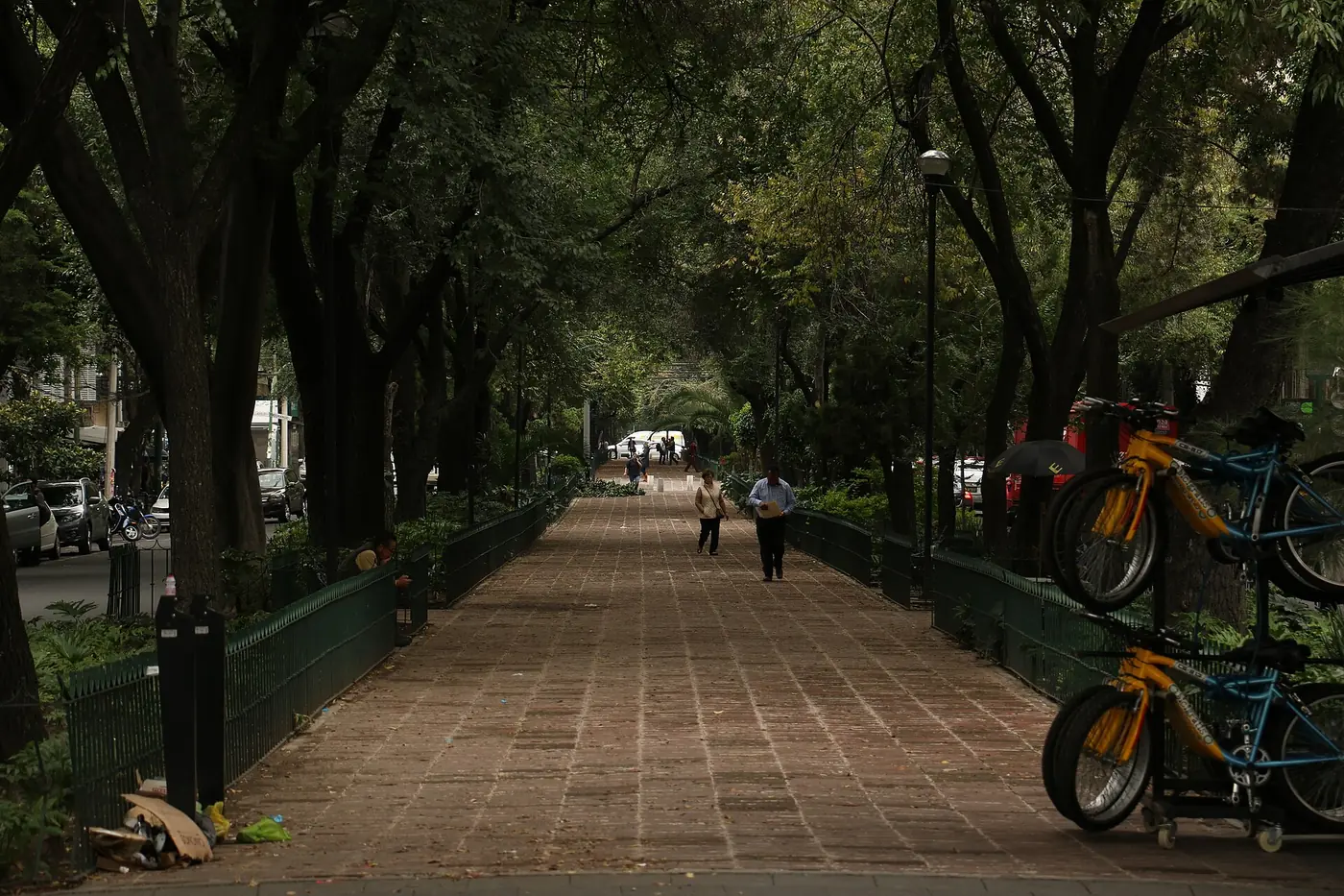 Condesa y Roma, Ciudad de México